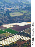 from high coultivation of vegetable in the greenhouse in jordan. Стоковое фото, агентство Ingram Publishing / Фотобанк Лори