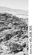 from high  the antique site of petra in jordan the beautiful wonder of the world. Стоковое фото, агентство Ingram Publishing / Фотобанк Лори
