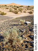 old fossil in  the desert of morocco sahara and rock  stone    sky. Стоковое фото, агентство Ingram Publishing / Фотобанк Лори