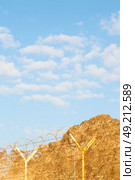 and cloudy sky in oman barbwire in the background . Стоковое фото, агентство Ingram Publishing / Фотобанк Лори