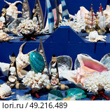full in market old table shell and sealife in sale. Стоковое фото, агентство Ingram Publishing / Фотобанк Лори