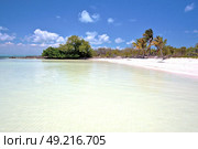 blue   isla contoy       in mexico froath and blue  foam  the sea drop sunny day  wave. Стоковое фото, агентство Ingram Publishing / Фотобанк Лори