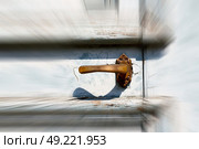 antique old door and ancien wood closed house hinge . Стоковое фото, агентство Ingram Publishing / Фотобанк Лори