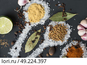 Spices and seeds in salt spoon at black background. seasoning. Colorful natural additives. Стоковое фото, агентство Ingram Publishing / Фотобанк Лори