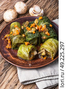 Vegetarian cabbage rolls on plate. Ukrainian vegetable dietary cabbage rolls in leaf of savoy cabbage. Стоковое фото, агентство Ingram Publishing / Фотобанк Лори