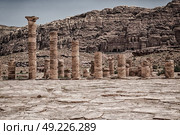 in petra jordan the antique street full of columns and architecture heritage. Стоковое фото, агентство Ingram Publishing / Фотобанк Лори