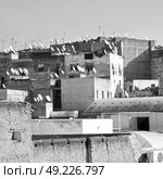 blur in morocco africa the antique tannery near the medina . Стоковое фото, агентство Ingram Publishing / Фотобанк Лори