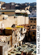blur in morocco africa the antique tannery near the medina . Стоковое фото, агентство Ingram Publishing / Фотобанк Лори