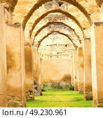 old moroccan granary in the green grass and archway  wall. Стоковое фото, агентство Ingram Publishing / Фотобанк Лори