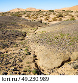  old fossil in  the desert of morocco sahara and rock  stone sky. Стоковое фото, агентство Ingram Publishing / Фотобанк Лори