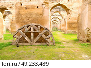 old moroccan granary in the green grass and archway  wall. Стоковое фото, агентство Ingram Publishing / Фотобанк Лори