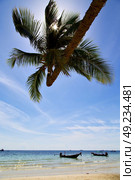 sun ligt  asia in the  kho tao bay isle white  beach    rocks  boat   thailand  and south china sea anchor. Стоковое фото, агентство Ingram Publishing / Фотобанк Лори