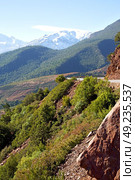 dades valley in atlas moroco   africa ground tree  and nobody. Стоковое фото, агентство Ingram Publishing / Фотобанк Лори