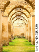 old moroccan granary in the green grass and archway  wall. Стоковое фото, агентство Ingram Publishing / Фотобанк Лори
