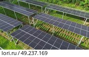 Clean energy and green farming from drone in a sustainable model. Стоковое видео, видеограф ALEJANDRO PEREZ ALVARES / Фотобанк Лори