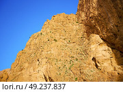 in todra africa morocco the atlas dry mountain. Стоковое фото, агентство Ingram Publishing / Фотобанк Лори