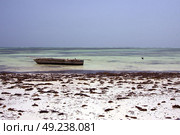 bird in the  blue lagoon relax  of zanzibar  africa coastline boat pirague. Стоковое фото, агентство Ingram Publishing / Фотобанк Лори