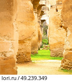 old moroccan granary in the green grass and archway  wall. Стоковое фото, агентство Ingram Publishing / Фотобанк Лори