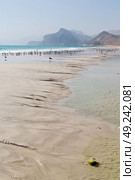the mountain and sea seagull full  in oman coastline of salalah . Стоковое фото, агентство Ingram Publishing / Фотобанк Лори