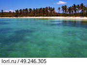 coastline and rock in the  blue lagoon relax  of isla contoy  mexico. Стоковое фото, агентство Ingram Publishing / Фотобанк Лори