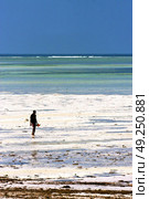 people and seaweed in the  blue lagoon relax  of zanzibar africa. Стоковое фото, агентство Ingram Publishing / Фотобанк Лори