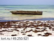 relax  of zanzibar  africa coastline boat pirague in the  blue lagoon . Стоковое фото, агентство Ingram Publishing / Фотобанк Лори