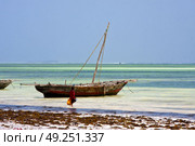 boat people and seaweed in the  blue lagoon relax  of zanzibar africa. Стоковое фото, агентство Ingram Publishing / Фотобанк Лори