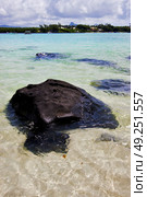 indian ocean some stone in the island of deus cocos in mauritius. Стоковое фото, агентство Ingram Publishing / Фотобанк Лори