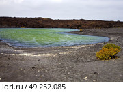 plant stone  atlantic ocean sky  water lanzarote in el golfo  spain musk pond rock  coastline and summer . Стоковое фото, агентство Ingram Publishing / Фотобанк Лори