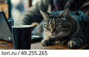 A cat is perched on a table next to a laptop, looking curiously at the screen. The felines fur is sleek and its ears are perked up inquisitively. Стоковое AI-изображение, AI-художник Данила Большаков / Фотобанк Лори