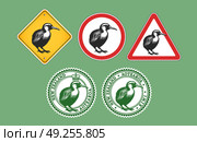 Vector set of icons, stickers and signs. Graphic kiwi bird. Road sign. New Zealand, Aotearoa. Collection of emblems. Green background. Новая Зеландия. Птица киви. Стоковая иллюстрация, иллюстратор GAlexS / Фотобанк Лори
