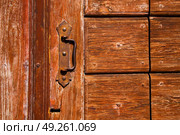 a brass brown knocker and wood  door cairate varese italy. Стоковое фото, агентство Ingram Publishing / Фотобанк Лори