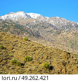 in ground africa morocco the bush  dry atlas mountain. Стоковое фото, агентство Ingram Publishing / Фотобанк Лори