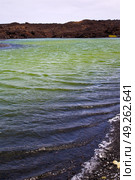 plant stone  atlantic ocean sky  water lanzarote in el golfo  spain musk pond rock  coastline and summer . Стоковое фото, агентство Ingram Publishing / Фотобанк Лори