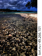 blue bay foam footstep indian ocean some stone in the island of deus cocos in mauritius . Стоковое фото, агентство Ingram Publishing / Фотобанк Лори