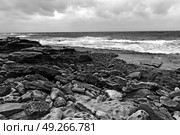 blur in south africa   sky ocean  isimagaliso reserve nature and rocks. Стоковое фото, агентство Ingram Publishing / Фотобанк Лори
