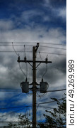 blur  in  philippines   a electric pole with transformer and wire  the cloudy sky. Стоковое фото, агентство Ingram Publishing / Фотобанк Лори