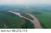 Sugarcane and River in Valle del Cauca. Стоковое видео, видеограф ALEJANDRO PEREZ ALVARES / Фотобанк Лори