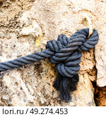 cord rope nautical cable like strong connection concept background . Стоковое фото, агентство Ingram Publishing / Фотобанк Лори