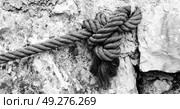 cord rope nautical cable like strong connection concept background . Стоковое фото, агентство Ingram Publishing / Фотобанк Лори