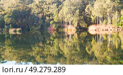 in lesotho mlilwane wildlife santuary the pound lake and  tree reflection in water. Стоковое фото, агентство Ingram Publishing / Фотобанк Лори