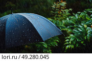 Raindrops Glisten on a Black Umbrella in a Lush Green Setting During a Rainstorm. Стоковое AI-изображение, AI-художник Юлия Гапеенко / Фотобанк Лори