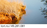 in lesotho mlilwane wildlife santuary the pound lake and  tree reflection in water. Стоковое фото, агентство Ingram Publishing / Фотобанк Лори