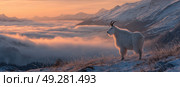 A white goat stands on a snowy mountain peak. Стоковое AI-изображение, AI-художник Ярославский Максим / Фотобанк Лори
