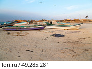 and seagull near ocean in oman boat in the coastline . Стоковое фото, агентство Ingram Publishing / Фотобанк Лори