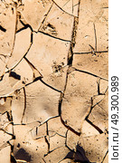 brown dry sand in sahara desert morocco africa erosion and abstract. Стоковое фото, агентство Ingram Publishing / Фотобанк Лори