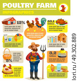 Poultry Farm Infographic Poster. Poultry farm infographics with cartoon style images of farmer chicken and farming unit facilities with text vector illustration. Стоковая иллюстрация, агентство Ingram Publishing / Фотобанк Лори