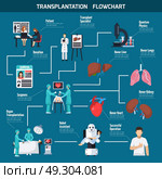 Transplantation Flowchart Layout . Transplantation flowchart layout with patient surgeons donor heart lungs liver robot assistant icons flat vector illustration. Стоковая иллюстрация, агентство Ingram Publishing / Фотобанк Лори