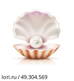 Shell Pearl Realistic Isolated Image. Mother of pearl shining in open shell of freshwater or seashell mollusk closeup realistic image vector illustration . Стоковая иллюстрация, агентство Ingram Publishing / Фотобанк Лори