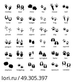 Silhouette Animal Track Set. Big monochrome set of different animals and birds silhouette tracks with description isolated on white background flat vector illustration. Стоковая иллюстрация, агентство Ingram Publishing / Фотобанк Лори